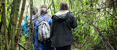bwindi-gorilla-trekking1